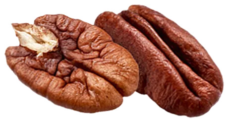 The Granola Bakery - Walnut